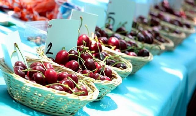 Bornova’da Kiraz Festivali heyecanı